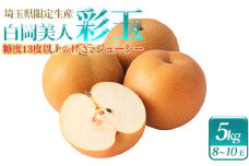 小川梨園の彩玉　5kg　【11246-0280】