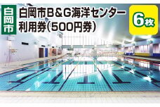 白岡市B&G海洋センター利用券（500円券）6枚　【11246-0272】