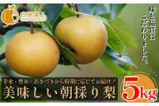 白岡　細田果樹園　味と品質こだわりの梨　5kg　【11246-0281】