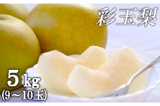 白岡の梨「白岡美人」彩玉梨約5kg（9玉～10玉）　【11246-0079】