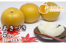 白岡の梨「白岡美人」あきづき梨約5kg（12～14玉）　【11246-0084】