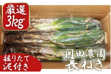 関田農園の「厳選　長ねぎ（泥付き）」箱3kg　【11246-0114】