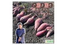 恵農園の さつまいも（ 紅はるか ）5kg 埼玉県産 伊奈町産 さつま芋 サツマイモ べにはるか 