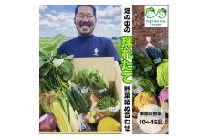 【Vegetable boys Company】畑の中の採れたて野菜詰め合わせセット