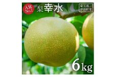 【2025年産先行予約】 \人気No.1/ 伊奈町産 梨『幸水』6kg  みずみずしい 甘い ジューシー 和梨 なし ナシ 果物 フルーツ 埼玉県