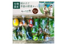 有機農家の採れたて季節野菜のセット【旬のvege箱】 10品種程度 野菜 旬 季節 セット 詰め合わせ 有機 健康 菜の花 ケール  オクラ 大根 埼玉県 伊奈町