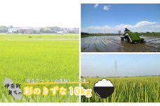 伊奈町育ちの 彩のきずな 10kg （5kg×2袋）2024年産 令和6年産 埼玉ブランド米 地域限定米