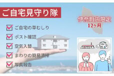 空き家管理サービス「ご自宅見守り隊」12ヶ月コース《伊奈町内の家限定》