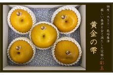埼玉県の梨 彩玉 から選ばれた特別限定品「黄金の雫」 数量限定 ブランド梨 