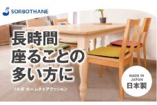 【ソルボセイン】ソルボ　ホームチェアクッション（ミモザ）