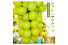 【2025年産 先行予約】埼玉県伊奈町産 シャインマスカット 1.5kg ／山岸農園 ブドウ ぶどう 葡萄 果物 フルーツ 数量限定 フルーツ先行予約
