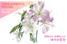 月命日にお届けする季節の百合の花束［定期便6ヶ月］