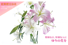 月命日にお届けする季節の百合の花束［定期便12ヶ月］
