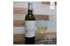 【伊奈町産の梨使用】梨ワイン2本セット  国産ワイン 日本のワイン