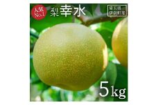 【2025年産先行予約】 \人気No.1/ 伊奈町産 梨『幸水』5kg  みずみずしい 甘い ジューシー 和梨 なし ナシ 果物 フルーツ 埼玉県