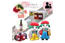 バラのまち伊奈町 2024バラまつり ペアで楽しむセットtype:B　2024バラまつり1日入場券2名様分付き