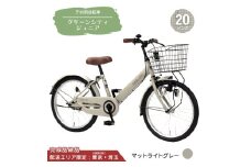 20型 子供用自転車 グリーンシティV ジュニア［マットライトグレー］ 20インチ自転車 20インチ子供用自転車 配送エリア 東京 ・埼玉限定 