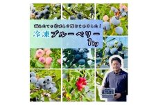 恵農園の 冷凍ブルーベリー 1kg 摘みたて冷凍ブルーベリー 品種いろいろ 養液ポット栽培