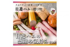 至福のホワイトハムバラエティ「日進ハムの感謝の気持ちセット」◆ FAA-130