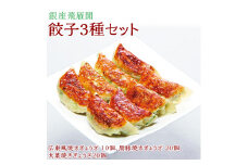 【焼くだけ簡単！化学調味料不使用 会員制高級中華 銀座飛雁閣】餃子3種セット(50ヶ) 本格中華 低糖質 健康 美容 広東風 焼き餃子 黒豚 大葉 冷凍 グルメ おかず ※沖縄県・離島への配送不可 FAA-174
