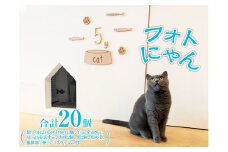フォトにゃん FAA-208