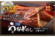 鹿児島県産うなぎ使用 冷凍うなぎめし 2食セット ※離島への配送不可 FAA-078