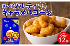 東ハト ソルティキャラメルコーン 67g×12個 スナック菓子 FAA-076　【ふるさと納税】【コク深 塩キャラメル味】東ハト ソルティ キャラメルコーン 67g×12個 スナック菓子 お菓子 濃い味 ピーナッツ 子供 こども おやつ お菓子 FAA-076