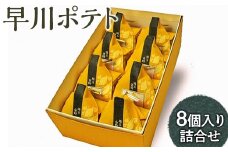 早川ポテト8個入り詰合せ ※離島への配送不可 FAA-161