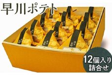 早川ポテト12個入り詰合せ ※離島への配送不可 FAA-162