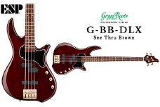 【See Thru Brown】G-BB-DLX FAA-008