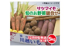落ち葉野菜セット FAA-028