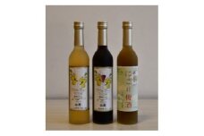 梅のお酒飲み比べセット　500ml×3本【1419541】