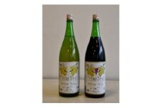 ワインベースの梅酒セット【1419546】