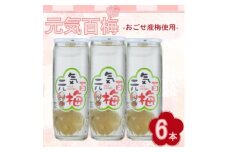 元気百梅　6本入り【1640856】