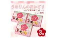 うめりんの花かざり　10枚入×3個セット　梅ジャム入りクッキー【1640859】