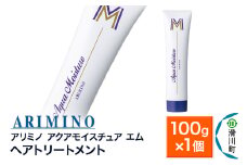 ARIMINO アリミノ【アクアモイスチュア エム】ヘアトリートメント 100g×1個