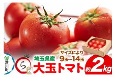 大玉トマト 約2kg（サイズにより9玉～14玉）埼玉県産 トマト