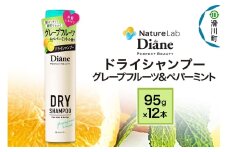 Diane ダイアン パーフェクトビューティー ドライシャンプー 95g グレープフルーツ＆ペパーミント×12点セット