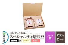 コーヒー豆 自家焙煎 ホンジュラス スペシャルティコーヒー ギフトセット【メディオ】焙煎豆200g×2パック 粗挽き【アンバー】