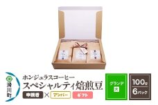 コーヒー豆 自家焙煎 ホンジュラス スペシャルティコーヒー ギフトセット【グランデ】焙煎豆100g×6パック 中挽き【アンバー】
