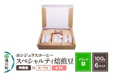 コーヒー豆 自家焙煎 ホンジュラス スペシャルティコーヒー ギフトセット【グランデ】焙煎豆100g×6パック 中挽き【コーラル】