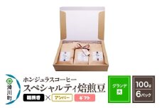 コーヒー豆 自家焙煎 ホンジュラス スペシャルティコーヒー ギフトセット【グランデ】焙煎豆100g×6パック 粗挽き【アンバー】
