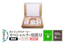 コーヒー豆 自家焙煎 ホンジュラス スペシャルティコーヒー ギフトセット【グランデ】焙煎豆100g×6パック 粗挽き【コーラル】