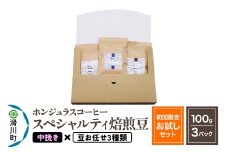 コーヒー豆 自家焙煎 ホンジュラス スペシャルティコーヒー【初回限定お試しセット】焙煎豆100g×3パック 中挽き【豆：お任せ3種類】