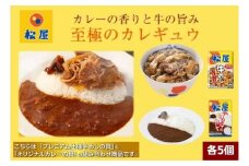 松屋 カレー 牛めし 10個 セット 冷凍 牛丼 カレー　【 詰め合わせ 食品 冷凍食品 食品 惣菜 】