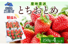 朝採れ とちおとめ 完熟 イチゴ 250g× 4パック セット 1kg 産直 果物 いちご デザート スイーツ 甘い 美味しい 真っ赤 酸味 ハウス 甘味 バランス 品質管理 手摘み 冷蔵 埼玉県 嵐山町