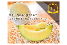 【冬作】埼玉県嵐山町産メロン　ゴールド