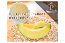 【冬作】埼玉県嵐山町産メロン　プラチナ