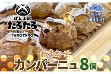 カンパーニュ 8個 セット ぱん パン あんこ 小麦 農林61 ふすま 生地 醗酵 濃厚 芳醇 香り もっちり 食感 ハード系 ぱん工房 たろたろ 埼玉県 嵐山町