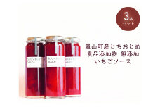 埼玉県嵐山町産いちご使用 特製いちごソース　3本セット